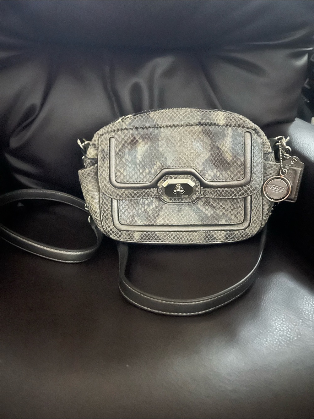 Coach Campbell Python Snake-Embossed Crossbody Bag Silver Handbag Vintage y2k